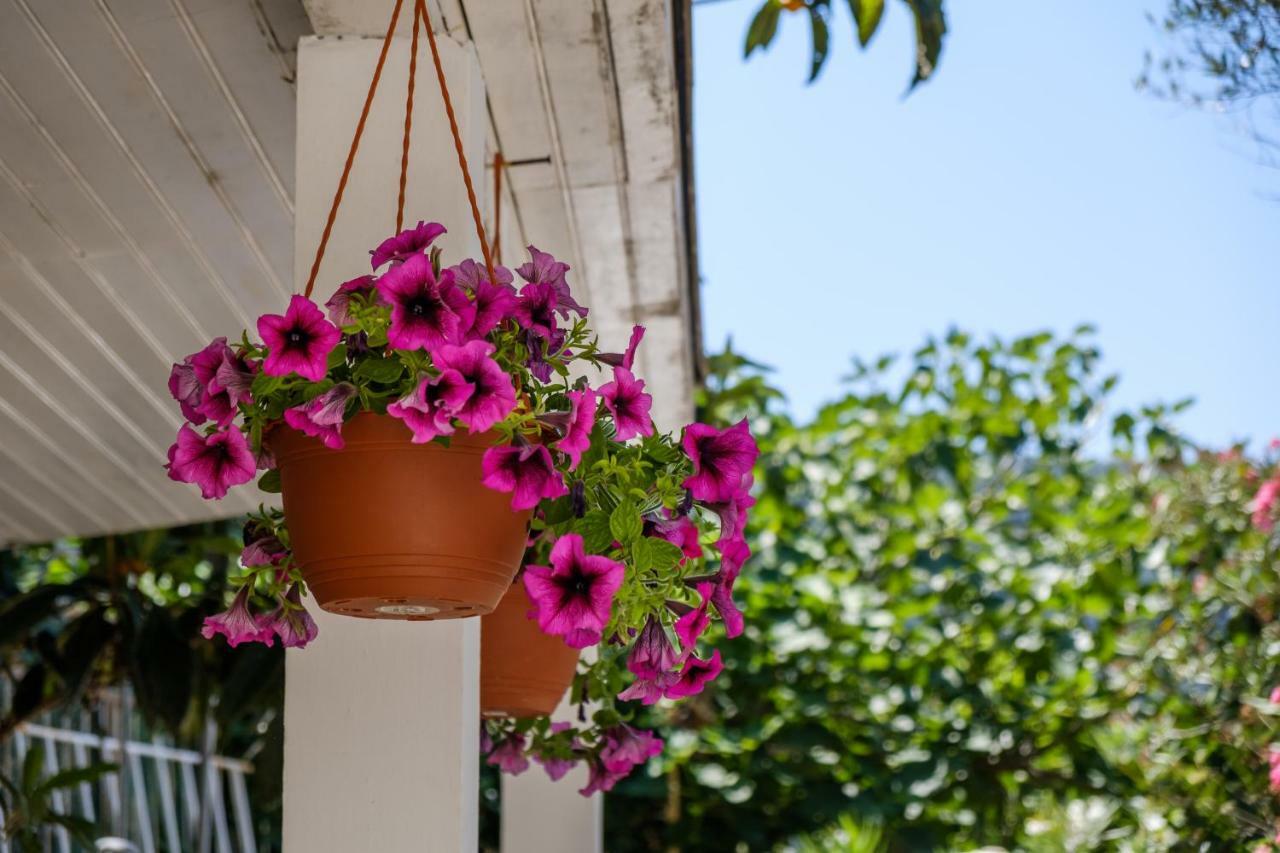 Cuore Di Milka Apartments Veli Lošinj Exteriér fotografie